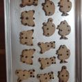 El cooksnap de Paulina Balan cuando hizo Galleta económica.