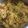 Dipika Bhalla's cooksnap of when they made પુલાવ (Pulao Recipe In Gujarati).