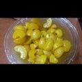 Monika Gupta का कुकस्नैप जब उन्होंने आंवला का अचार (Amla ka achar recipe in hindi) बनाया था।