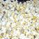 El cooksnap de Florencia Zurita cuando hizo Pororó o palomitas con caramelo.