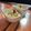 Heba El-Atrache's cooksnap of when they made مغلي.