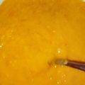 Prabha का कुकस्नैप जब उन्होंने फलाहारी कच्चा आम की चटनी(falahari kachhe aam ki chutney recipe in hindi) बनाया था।