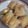 Cooksnap dari Nani untuk resep Lumpia Indomie