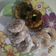 Cooksnap dari thanaya_sosiawan untuk resep Donat Jadul