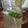 Cooksnap από Χατζηνικολάου Χρύσα στη συνταγή Μοχίτο-mojito 🍹