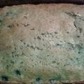 sbooten4's cooksnap of when they made Blueberry Quick Bread Recipe.