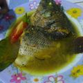 Cooksnap dari Utary untuk resep Mujair Kuah Kuning