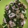 Cooksnap dari melsa sufyani untuk resep Cumi cabe hijau