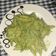 El cooksnap de Jorge Alvez cuando hizo Penne Rigate con crema de espinacas.