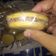 El cooksnap de Verónica cuando hizo Alfajorcitos de Maizena y Conitos de dulce de leche.