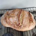 Cooksnap από Nikolas Mouzakitis στη συνταγή Ψωμί γάστρας πολύ εύκολο