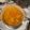 El cooksnap de Arnaldo Valdes cuando hizo Calamares en salsa americana con arroz.