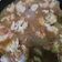 Cooksnap dari Mbak Tsum untuk resep Daging sapi tumis kecap simple