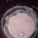 Cooksnap dari Enida Ekayana untuk resep Es krim enak & lembut home made anti gagal