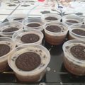 Cooksnap dari arika mike wijayanti untuk resep Puding Oreo Milo