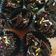 Cooksnap dari Dhian Kurnia Wati untuk resep Corn flakes coklat