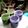 Cooksnap dari Adam Ciplàk untuk resep Matcha spread 🍵🍯 (selai matcha) selai greentea