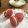 Cooksnap dari Firda@home untuk resep Red velvet Macaron