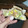 El cooksnap de Camila Berardo cuando hizo Wraps caseros rellenos de pollo, palta, tomate y cebolla.