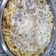El cooksnap de Fati Dasilva cuando hizo Macarrones cremosos con champiñones y queso fundido.