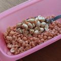 Cooksnap dari rocha novalina untuk resep Kacang bawang renyah