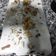 El cooksnap de elivacc.chivil cuando hizo Torta galesa.