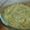 El cooksnap de Patricia Otano cuando hizo Crema de calabacín.