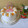 Cooksnap dari dapoer santi untuk resep Vanilla Fruit Cake (Orange & Strawberry)