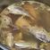 Cooksnap Zuraidah Abu Bakar semasa beliau membuat Singgang ikan kembung simple.