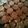 Cooksnap dari Eka Yani untuk resep Choco chips cookies (ala good time)