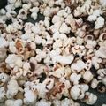 Cooksnap dari suci ramayanti untuk resep Popcorn