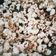 Cooksnap dari suci ramayanti untuk resep Popcorn