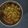 Roshni Tayal का कुकस्नैप जब उन्होंने आलू फली की सब्जी (aloo phali ki sabzi recipe in Hindi) बनाया था।