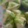Cooksnap dari Mutiah Kediri untuk resep Bolu kukus gula merah mekar merekah 100% anti gagal