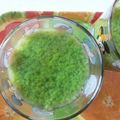 Cooksnap dari Teny Fat Karwati untuk resep Puding Lumut