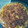 El cooksnap de Milagro Vargas cuando hizo Tortilla de papa con jamón.