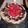 El cooksnap de LokTedd4000 cuando hizo Torta de vainilla light.