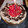 El cooksnap de LokTedd4000 cuando hizo Torta de vainilla light.