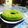 Cooksnap dari Linda Rambu Kuba Yowi untuk resep Puding Lumut Lapis Coklat