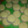 El cooksnap de Adriana 💖💓 cuando hizo Alfajores de Maizena Especiales.