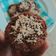 Cooksnap dari Cay untuk resep Quaker Oat Diet Cookies