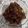 Cooksnap dari Ollyvia untuk resep Oseng Daging Sapi Simple