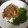 El cooksnap de Susi Cf cuando hizo Atún encebollado con langostinos.