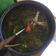 Cooksnap dari Ditha gendut untuk resep Soto Ayam Khas Solo (Menu Hemat)