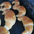 El cooksnap de jennifermancebo7 cuando hizo Medialunas súper fáciles y deliciosas!🥐🥐.