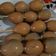 Cooksnap dari Henida 88 untuk resep Sate Telur Puyuh ala Angkringan