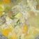 Cooksnap dari Sinta Nurul Iman untuk resep Sayur Sop Ayam Empuk