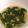 Cooksnap dari cher untuk resep Sayur Bening Bayam Jagung Manis