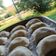 Сooksnap від Юлія Броговська, який(а) приготував(ла) 🥟Идеальное тесто для вареников и пельменей.