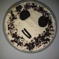 El cooksnap de Ana Porta cuando hizo •torta oreo helada•.